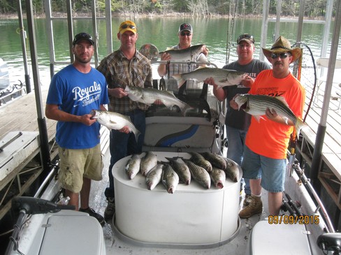 Nice Striped Bass